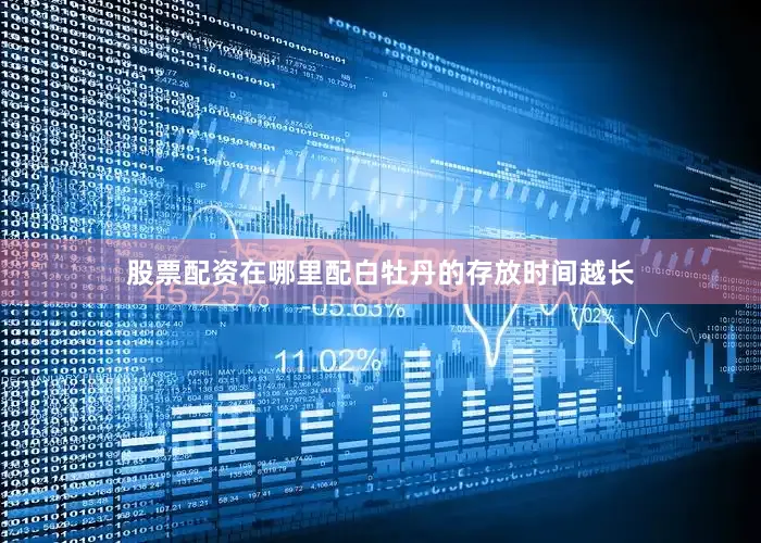 股票配资在哪里配白牡丹的存放时间越长