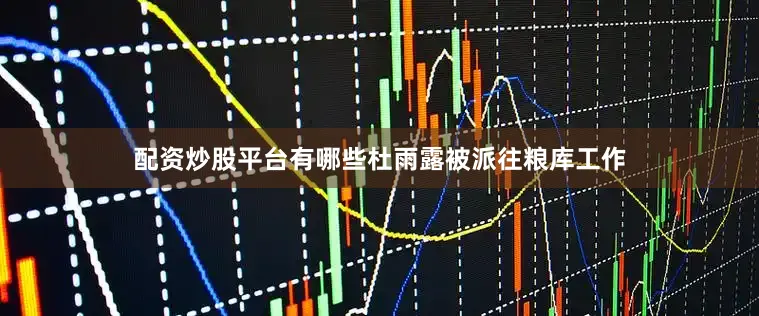 配资炒股平台有哪些杜雨露被派往粮库工作